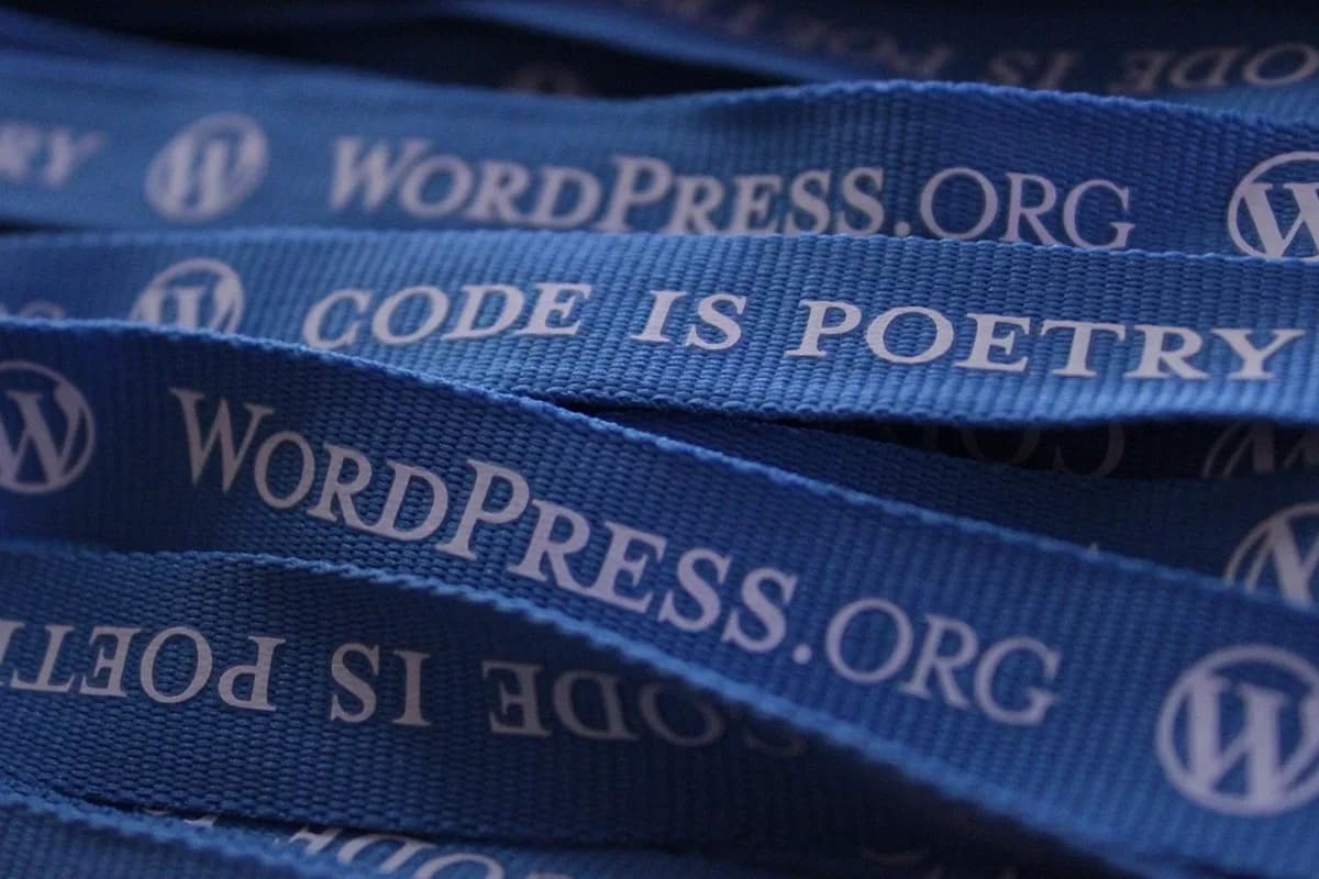 Live concert audience and stage lights representing community support for the OBS streaming project