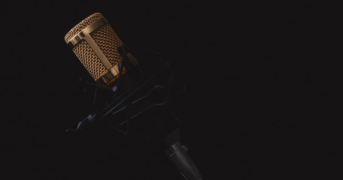 Micro statique de studio sur suspension antichoc, prêt pour un direct